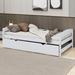 Winston Porter Pearlette Twin Size Platform Bed w/ Twin Size Trundles Wood in White | 22.1 H x 40.6 W x 77.4 D in | Wayfair