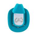 Multi Colored Horseshoe Earrings with Blue Cowboy Hat Box