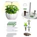 Kayannuo Valentines Day Clearance Green Seed Pod Kit Green Leafy Vegetables Romaine And Butterhead Lettuce Seed Pod Kit (Kit 1: 30pcs/set (Seedling Cover. Stickers. Planting Basket) Kit 2: 30p