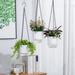 Topboutique Self Watering Hanging Planters with Hook Chains Drainage Holes 3 Set Hanging Planters for Indoor Plants Idea Gift for Anyone Transparent Hanging Indoor Planters(3 Pack)