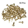 Petits clous en laiton à tête ronde 50 pièces 3x10mm petits clous pour meubles à charnière boîte