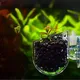Pot de plantes en acrylique avec support à ventouse décoration d'aquarium mini vase de jardinage