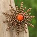 'Star-Shaped Orange Chalcedony and Glass Beaded Brooch'