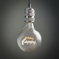 Vintage 2W LED Happy Globe Bulb with ES/E27 Cap
