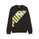 Kapuzensweatshirt PUMA "POWER GRAPHIC CREW TR B" Gr. 176, schwarz (puma black) Kinder Sweatshirts