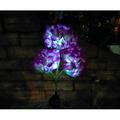 Solar Lights Outdoor Decorative - 1 Pack Hydrangea Solar Garden Stake Lights Waterproof and Realistic LED Flowers Powered Outdoor In-Ground Lights for Garden Lawn Patio Backyard gticphyj726