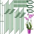 40Pcs Plant Support Stakes Plant Stakes and Supports for Indoor Plants Plastic Plant Stakes with 40 Rings and 20 Connectors Plant Support Rings Garden Stakes for Plants Tomatoes Flowers