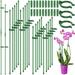 40Pcs Plant Support Stakes Plant Stakes and Supports for Indoor Plants Plastic Plant Stakes with 40 Rings and 20 Connectors Plant Support Rings Garden Stakes for Plants Tomatoes Flowers