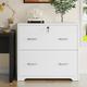 Tribesigns 31.5 Wood Storage Cabinet with Lock 2-Drawer Lateral File Cabinet White