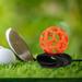 kesoto Golf Swing Trainer Golf Swing Golf Alignment Practice Tool Wrist Band Golf Ball for Men Women Adult Accessories Orange