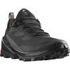 Wanderschuh SALOMON "CROSS OVER 2 GORE TEX", Gr. 46,5, grau (anthrazit), Synthetik, Textil, sportlich, Schuhe, wasserdicht