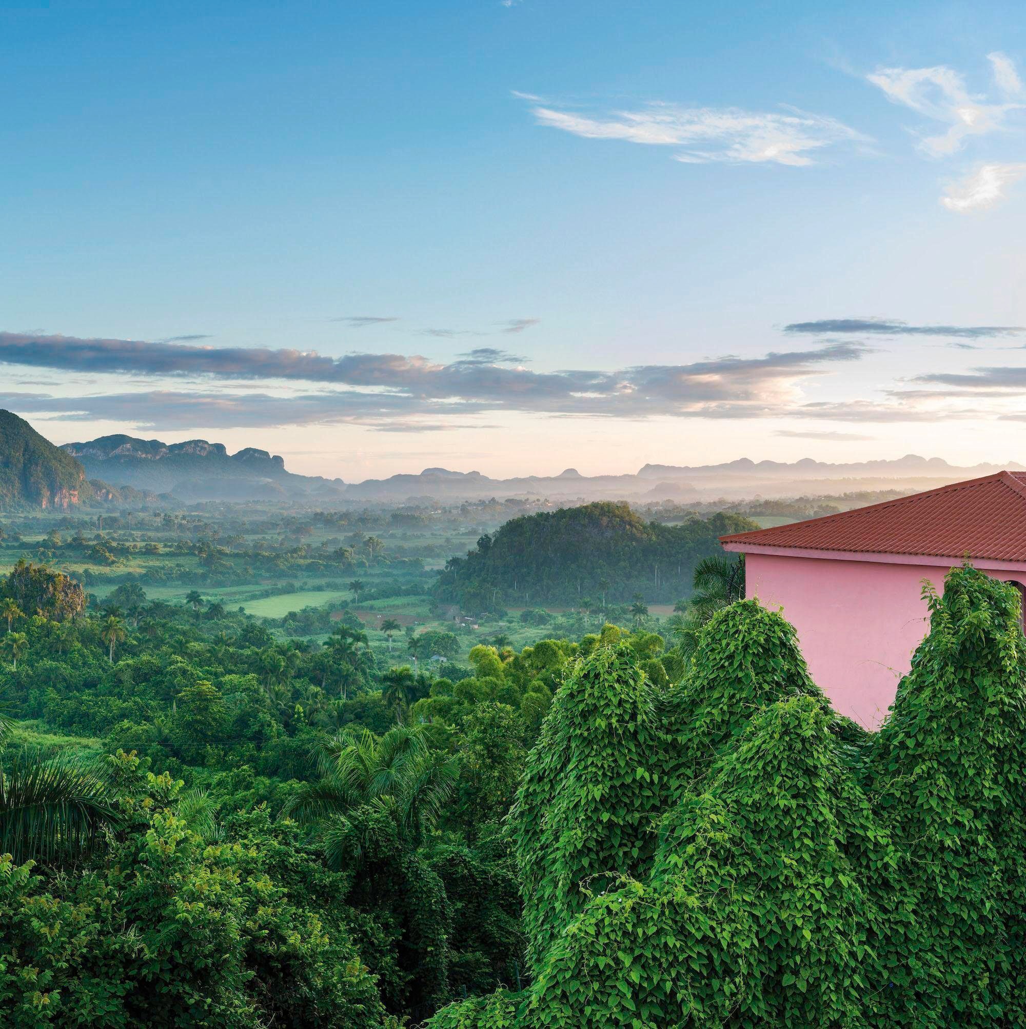 Fototapete RASCH "Young Artists", bunt, B:2,79m L:2,8m, Tapeten