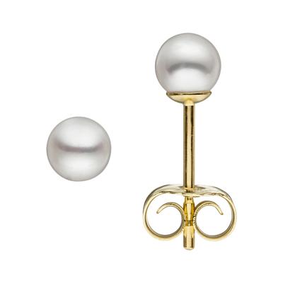 Paar Ohrstecker JOBO, gold (gelbgold 333), Ohrringe, Damen, Gelbgold 333-Perlen, Gelbgold 333, Perlen, 333 Gold mit Süßwasser-Zuchtperlen 4,5 mm Image