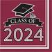 Creative Converting Class of 2024 Graduation Napkins, 108 ct in White/Black/Brown | Wayfair DTC369899NAP