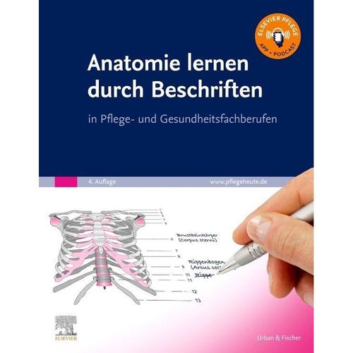 Anatomie Lernen Durch Beschriften, Kartoniert (TB)