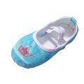 Children Dance Shoes Ballet Dance Shoes Body Training Shoes Satin Embroidered Yoga Shoes