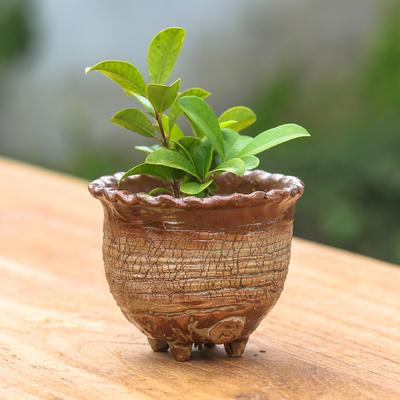 'Handcrafted Crackled-Finish Earthy Brown Ceramic Flower Pot'