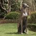 Red Barrel Studio® Elecktra Dogs Animals MGO Garden Statue Metal | 30.25 H x 16.75 W x 9.5 D in | Wayfair 5DD181E96AF34ADC983005DC1B115AC5