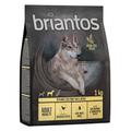 Offre d'essai : croquettes Briantos 1 kg pour chien - Adult poulet, pommes de terre - SANS CÉRÉALES