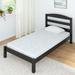 Twin Firm 5" Mattress - Alwyn Home Northdale Polyester Filled | 75 H x 39 W 5 D in Wayfair 527EB41ED4A94336AB6153674DE4B36A