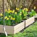 Wooden Raised Garden Bed Kit, Elevated Planter Box with Bed Liner for Backyard to Grow Vegetables, Herbs, 4' x 4' x 12"