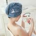 Hair Towel Wrap for Women 2 Pack Ultra Absorbent Twist Hair Turban Drying Cap Hair Wrap