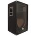 Seismic Audio - Empty 15 Inch PA / DJ / Band Speaker Cabinet with Titanium Horns - SA-15T_Empty