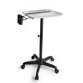 Rolling Salon Trolley Aluminum Instrument Salon Tray Tattoo Rolling Tray Station Salon Trolley,27.56-43.31in Height Adjustable,FOR salons pet stores beauty salons