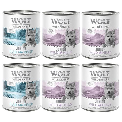 6 x 800 g Junior Mixpaket Wolf of Wilderness getreidefreies Hundefutter nass