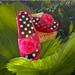 Kate Spade Shoes | Kate Spade Jelly Sandles | Color: Black/Pink | Size: 9