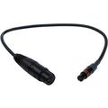 Remote Audio XLR 3-Pin Female to TA 3-Pin Female Balanced Adapter Cable (2') CAX3FT3F24