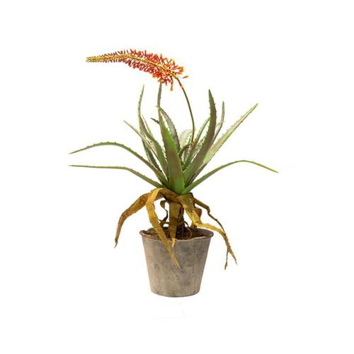 fleur ami »Aloe« Kunstpflanze 80x143 cm