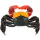 Models Baby Toys Babydoll Toy Learning Model Simulated Simulation Crab Playset Hairy Crab Decoration Animal Model Crab Model Toy Toy Set Plastic Child