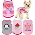 Dog Shirt for Small Dogs Girl - Small Dog Clothes Female - Chihuahua Yorkie Teacup Dog Clothes - XS Dog Clothes - XXS Dog Clothing - Puppy Clothes for Small Dogs Girl - Fall Girl Dog Clothes Pink