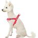 Blueberry Pet Step-in Dog Harness Velvety Heart Flocking Valentineâ€™s Day Adjustable Harnesses for Medium Dogs Lust Red Chest Girth 20 - 26