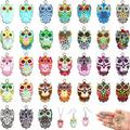 Hicarer 62 Pieces Halloween Owl Enamel Charms for Jewelry Making Colorful Owl Charms Pendant DIY Owl Charms Pendant Crafting Accessories for Earrings Necklaces Bracelets 31 Colors