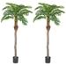 Northlight Seasonal 2 - Piece 72" Artificial Palm Tree in Pot Plastic | Wayfair NORTHLIGHT SM99751