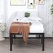 Alwyn Home Andesine 20" Bed Frame Metal in Brown | 20 H x 38 W x 80 D in | Wayfair B32AD257C1A64B8DBCA174242E7BBFFB