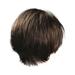 Human Hair Wig Hair Perfect For Carnivals Fashion Party wig Festival Wig Men Short