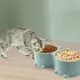 Ensemble de bols d'eau et de nourriture pour animaux de compagnie mangeoires doubles pour chiens et