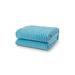 J&V Textiles Fleece Blanket for Couch - Thick & Warm Blanket for Winter, Soft & Fuzzy Blanket Microfiber/Fleece/Microfiber/Fleece, in Blue | Wayfair