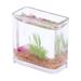 Chicmine Goldfish Bowl Model Realistic Decorative Ornament Miniature Glass Fish Tank for Dollhouse Photo Props Miniature Scenes