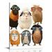 COMIO Guinea Pig Canvas Wall Art Nursery Animal Pictures Cartoon Animal Poster Abstract Pet Art Guinea Pig Knowledge Poster Cute Animal Artwork Watercolor Animal Pictures for Classroom No Frame