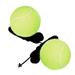 2 Pcs Toy Self Practice Tennis Tennis Balls for Tennis Trainer High Bounce Tennis Rope Tennis Pet Ball Nylon Individual