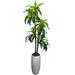 Cypress & Alabaster Handmade 6 Artificial Dracaena Tree in Smooth Grey Fiberglass Planter - - Real Eco-Friendly Home DÃ©cor