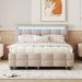 Queen Size Platform Bed with LED Frame,Twin XL Size Trundle and 2 drawers