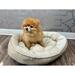 Tucker Murphy Pet™ Cuddlove Oval Pet Bed Khaki Small Polyester in Brown | 5 H x 24 W x 18 D in | Wayfair CA03DD45C6144CFFA29D1C92662BE025