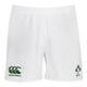 Ireland Rugby 2016 2017 Canterbury Rugby Home Shorts (36) (BNWT)