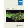 Blattläuse - Aphidoidea - Thomas Thieme