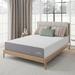 Full 10" Foam Mattress - Alwyn Home Dagley 10 Mattress, Metal | 75 H x 54 W D in Wayfair 1B04353369E84BAA82F857317E873B5F